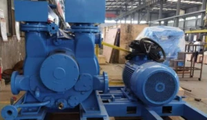 MECHANICAL PUMPS WITH LIQUID-RING PUMPS